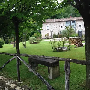  Ferienhaus Lady Frantoio Toscano Italien
